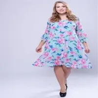 Curve Flutter Sleeve Dress