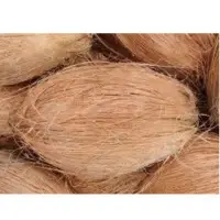 Semi Husked Coconut
