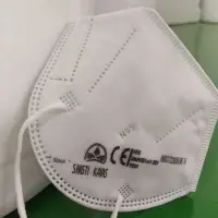 Shasti Kavash N95 Mask Protective Face Mask