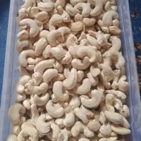 Cashew