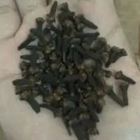 Cloves