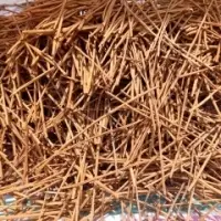 Cinnamon