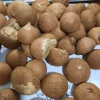 Areca Betel Nut