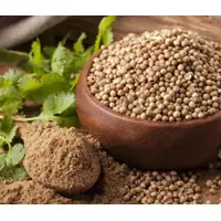 Coriander