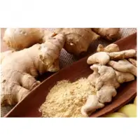 Ginger