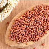 Finger Millets