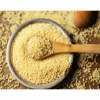 Foxtail Millet