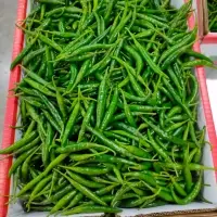 Green Chilly