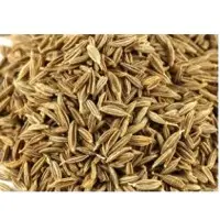 Cumin Seeds