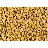 Fenugreek Seeds