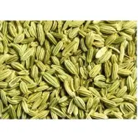 Fennel Seeds