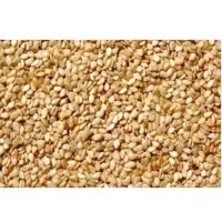 Hulled Sesame Seed