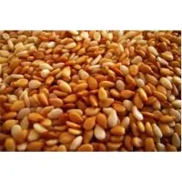 Toasted Sesame Seed