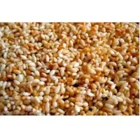 Roasted Sesame Seed