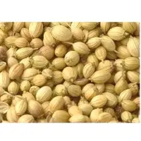 Coriander Seeds