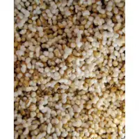 Crunchy Millets Indian Spice