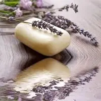 Toilet Soap