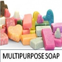 Multi Purpose Soap