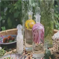 Hydrosol / Floral Waters