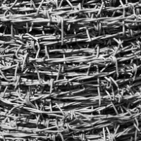 Barbed Wire