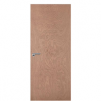 PLywood Door