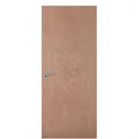 PLywood Door