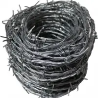 Barbed Wire