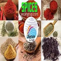 Spices