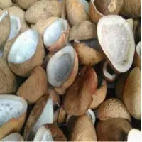 Semi Husked Coconut