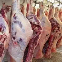 Meat
