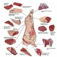 Frozen Meat
