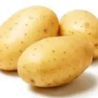 Potato