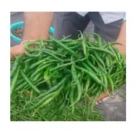 Green Chilli