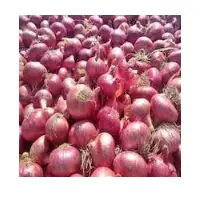 Onions