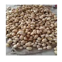 Potato