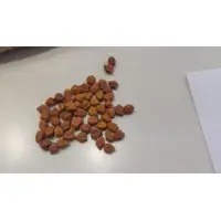 Chickpeas (brown)