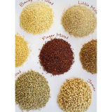 Millet