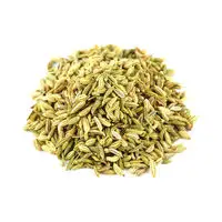 High Quality Fennel Seeds