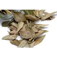 Dried Bay Leaf