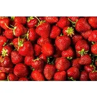 Fresh Strawberry