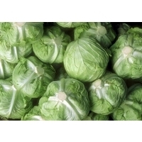 Fresh Red and Green Cabbage