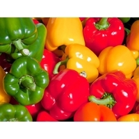 Fresh Capsicum