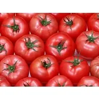 Fresh Tomato