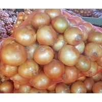 Fresh Red and Yellow Onion