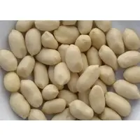 Quality Blanched Peanuts