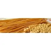 Organic Soybean Spaghetti Pasta
