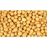 Soybeans