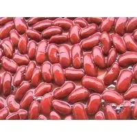 Canned Red Kidney Beans