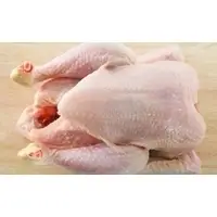 Frozen Halal Whole Chicken