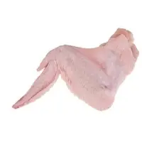 Frozen Chicken Wings
